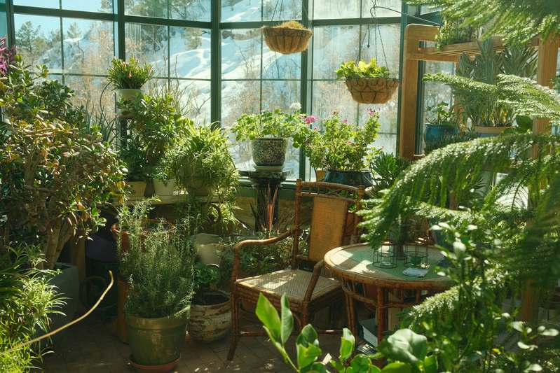 Overhead view of a lush, glass-enclosed terrarium with ferns, moss, and decorative stones on a light wooden shelf
