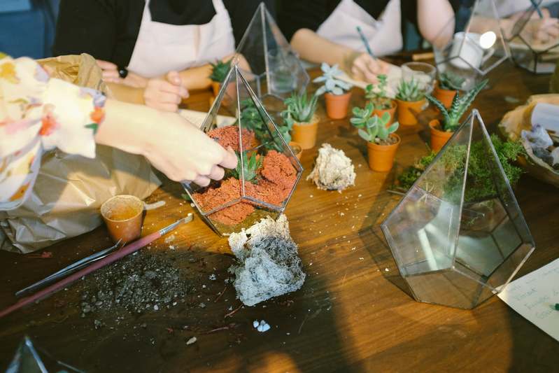 Side view of hands assembling a glass terrarium with succulents and pebbles on a sunlit kitchen counter