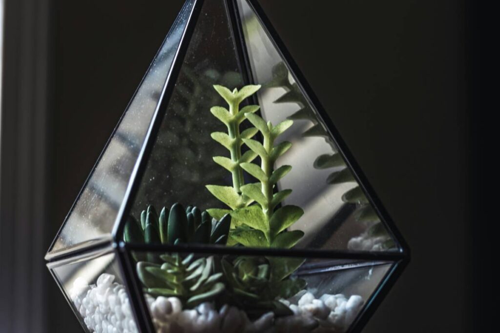 Vertical Terrarium Background: 7 Proven Tips to Avoid Costly Mistakes