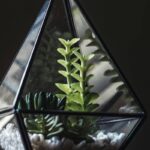 Vertical Terrarium Background: 7 Proven Tips to Avoid Costly Mistakes